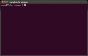 Screenshot, Terminal window, Ubuntu 12.04 Precise Pangolin